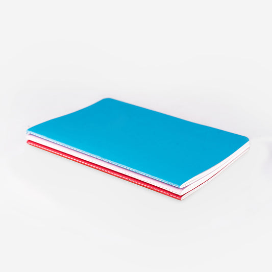 Slim Series Notebook- Pack of 3