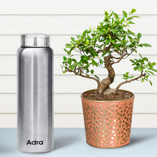 Stainless Steel Water Bottles - 500 ML