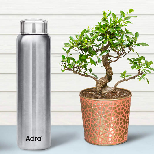 Stainless Steel Water Bottles - 900 ML